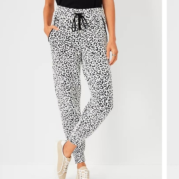 Ann Taylor The Animal Print Sweater Jogger Pant S - Picture 1 of 10